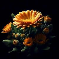 AI generated Chrysanthemum isolated on black background. Flowers and plants in spring. photo