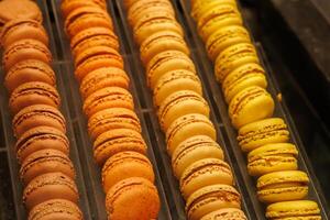 Colorful variety of macarons arranged on a white tray, presenting a range of flavor choices photo