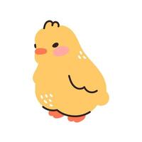 Cute baby chickens set easter design yellow cartoon chicks. Vector illustration