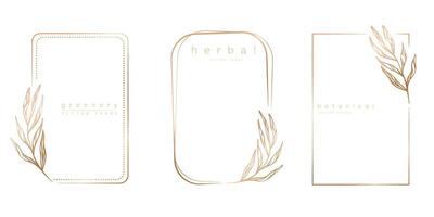 Set of frame templates in minimal linear style with hand drawn branches and leaves. Elegant frame. Botanical vector illustration for labels, corporate identity, wedding invitation, logo, save the date
