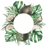 Coconuts whole, halves and pieces with bright, green, tropical palm leaves. Hand drawn watercolor illustration. Wreath, frame, template isolated from the background vector