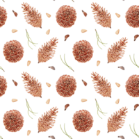 Seamless pattern with hand drawn pine cones, nuts, needles and seeds. Watercolor illustration isolated on transparent background. Forest background for textile, fabric, wallpaper, wrapping paper png