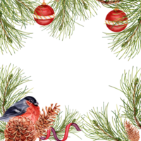 brillant Noël composition avec pin arbre branches, rouge boules, bouvreuil et pommes de pin. carré Cadre conception prêt pour texte. aquarelle illustration isolé sur transparent Contexte. carte frontière. png