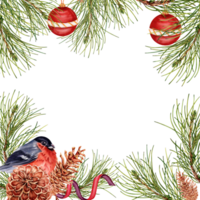 hell Weihnachten Komposition mit Kiefer Baum Geäst, rot Kugeln, Gimpel und Kiefernzapfen. Platz Rahmen Design bereit zum Text. Aquarell Illustration isoliert auf transparent Hintergrund. Karte Grenze. png