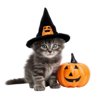 AI generated a dog wearing a witch hat and pumpkin on a transparent background png