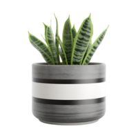 AI generated plant in a pot decoration png