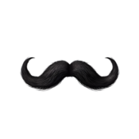 ai généré moustache sur transparent Contexte png image