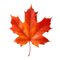 AI generated Maple Leaf Autumn on transparent background PNG image