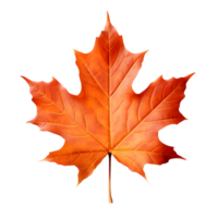 AI generated Maple Leaf Autumn on transparent background PNG image
