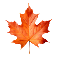 ai generiert Ahorn Blatt Herbst auf transparent Hintergrund png Bild