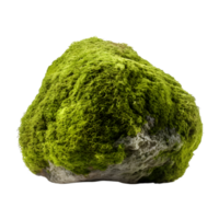 AI generated Nature Mossy Rock on transparent background PNG image