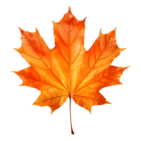 AI generated Maple Leaf Autumn on transparent background PNG image