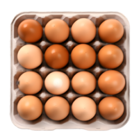 ai genererad ägg bricka på transparent bakgrund png bild