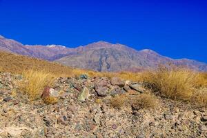 rocks and dry grass tufts in autumn mountains scene at sunny day photo