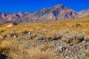 rocks and dry grass tufts in autumn mountains scene at sunny day photo