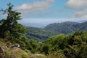 A beautiful foliated landscape in a mountainous area with a tropical climate against a blue sky and white clouds. photo