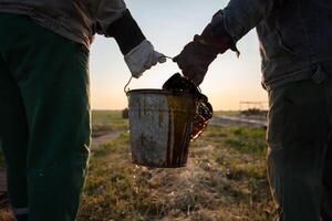 trabajadores llevar un Cubeta de derramado extraído aceite. descubrir petróleo campos. negro oro. foto