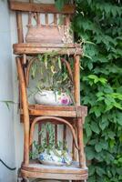 Outdoor flower stand made from old chairs. Reuse of retro furniture. photo