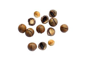 isolated roasted macadamia seeds scattered on white background. The seeds have a nutty flavor and texture. Rich in many nutrients. Soft and selective focus. photo