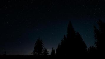 Stars in night sky over tree silhouettes. The constellation Ursa Major is clearly visible. photo
