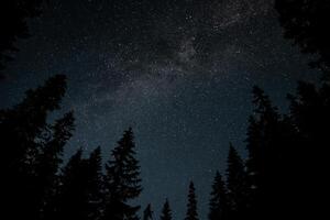 Milky Way Galaxy over the forest. Starry night background. photo