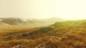 ein heiter Landschaft mit majestätisch Berge und ein üppig Grün Feld video