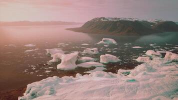 uma deslumbrante Visão do icebergs flutuando em uma sereno corpo do água video