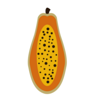 vlak icoon papaja geïsoleerd. fruit icoon. png