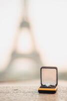 Wedding ring with Background Blurry shot of the Eiffel Tower In Paris with copy space - Landscape - Monotone - Defocused photo