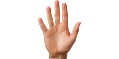 AI generated Transparent Background Man Hand png