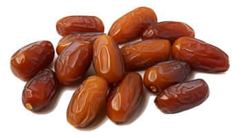 AI generated Sweet fresh dried dates transparent background png