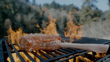 Steak grilling on a fire. top up by rosemary to add the deliciousness of the meat. photo