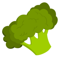 Green Leaf Illustration Featuring a Lush Plant png