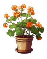 AI generated Illustration of nasturtium flower in a pot isolated on transparent background png