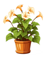 ai généré illustration de une Matin gloire fleur dans une pot isolé sur transparent Contexte png