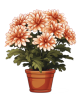 ai genererad krysantemum blomma illustration i en pott isolerat på transparent bakgrund png