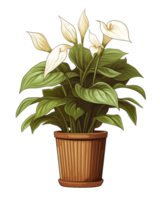 ai généré illustration de anthurium plante dans une pot sur une transparent Contexte png
