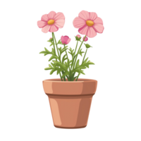 ai generiert Illustration von Kosmos Blume im ein Topf isoliert auf transparent Hintergrund png