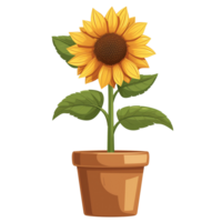 ai généré illustration de tournesol dans une pot isolé sur transparent Contexte png