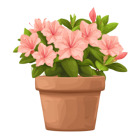 AI generated Azalea flowers in a pot isolated on transparent background png