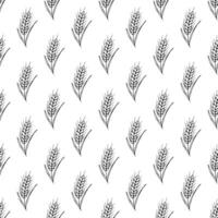 Seamless pattern with wheat doodle for decorative print, wrapping paper, greeting cards, wallpaper and fabric vector