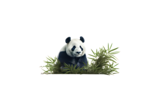 ai generado panda en un transparente antecedentes png