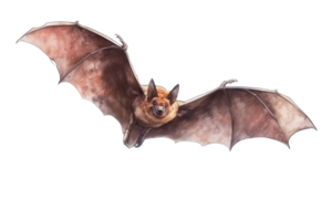 ai généré chauves-souris sur une transparent Contexte png