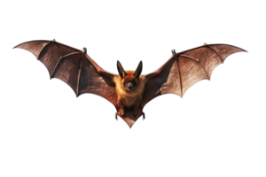 ai généré chauves-souris sur une transparent Contexte png