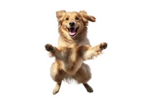 AI generated Dog jumping on transparent background png