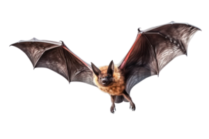 ai généré chauves-souris sur une transparent Contexte png