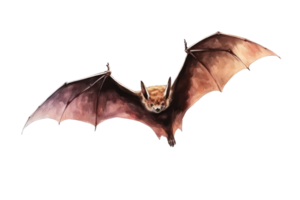 AI generated Bats on a transparent background png