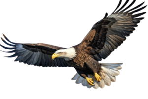 ai généré Aigle sur transparent Contexte png