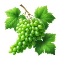 ai gerado verde uvas em ramo com folha png