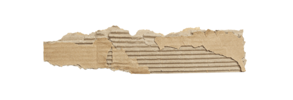 Kraft cardboard piece ripped edge. Isolated on a transparent background png